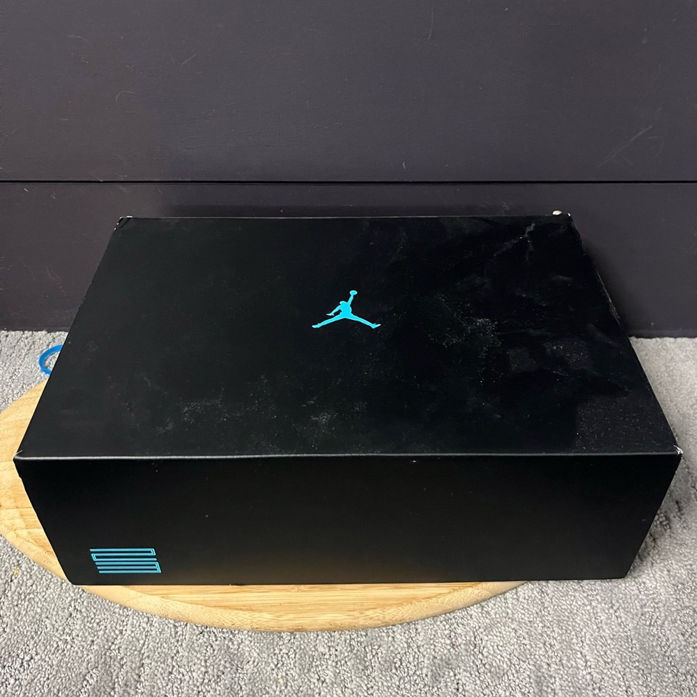 BRAND NEW JORDAN 11 GAMMA SIZE 7 290 LOWEST